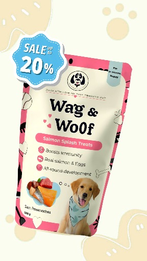 معاينة قالب التصميم Pet Template 6