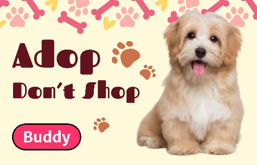 معاينة قالب التصميم Pet Template 2